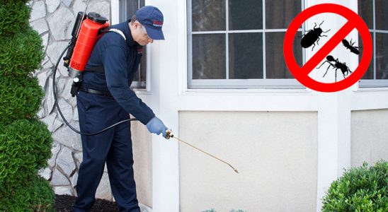 Kavaklıdere Karınca İlaçlama böcek ilaçlama ve haşere kontrolü — ilaclama-tr.com
